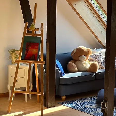 Viljandi Kesklinna Majake Ja Kodune Minispa Villa