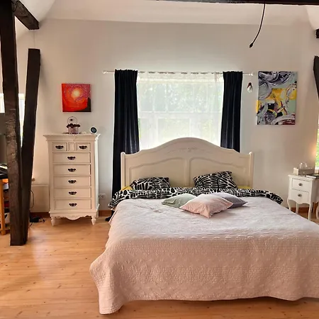 Kesklinna Majake Ja Kodune Minispa Villa