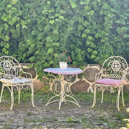 Viljandi Kesklinna Majake Ja Kodune Minispa Villa