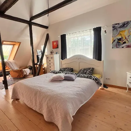 Kesklinna Majake Ja Kodune Minispa Villa