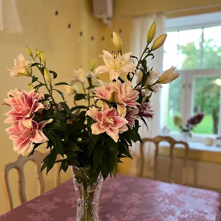 Villa Kesklinna Majake Ja Kodune Minispa *