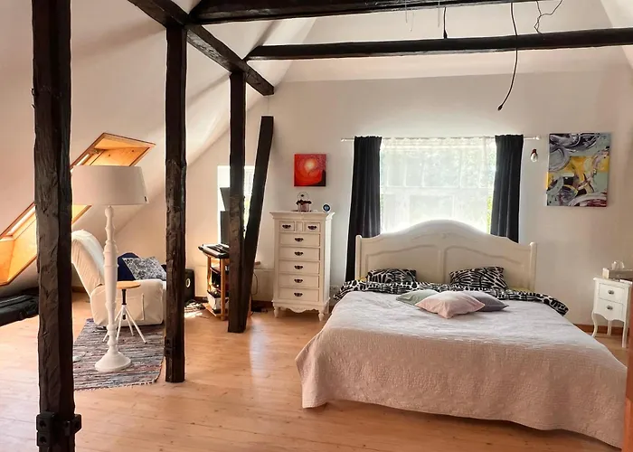 Willa Kesklinna Majake Ja Kodune Minispa Viljandi (Viljandimaa)