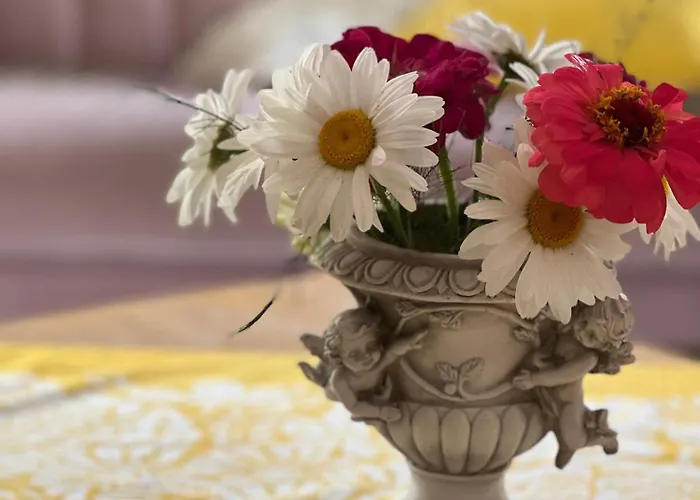 Kesklinna Majake Ja Kodune Minispa *