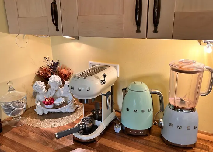 Kesklinna Majake Ja Kodune Minispa