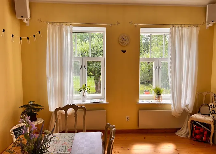 Kesklinna Majake Ja Kodune Minispa Willa *