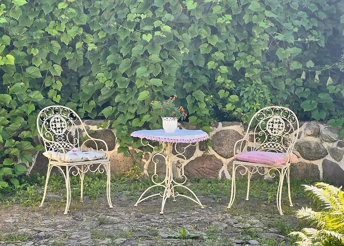 Kesklinna Majake Ja Kodune Minispa Willa