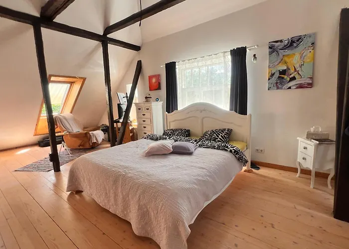 Kesklinna Majake Ja Kodune Minispa Willa