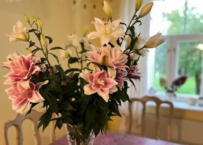 Willa Kesklinna Majake Ja Kodune Minispa *